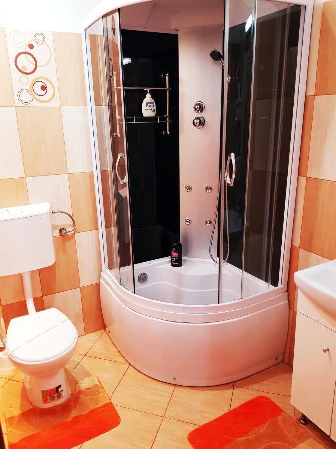 Pensiunea Red Rose Apartments Тимишоара Экстерьер фото