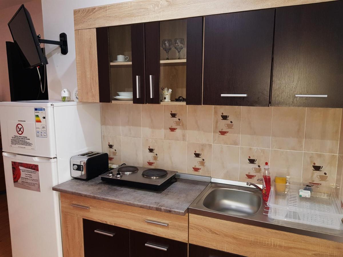 Pensiunea Red Rose Apartments Тимишоара Экстерьер фото