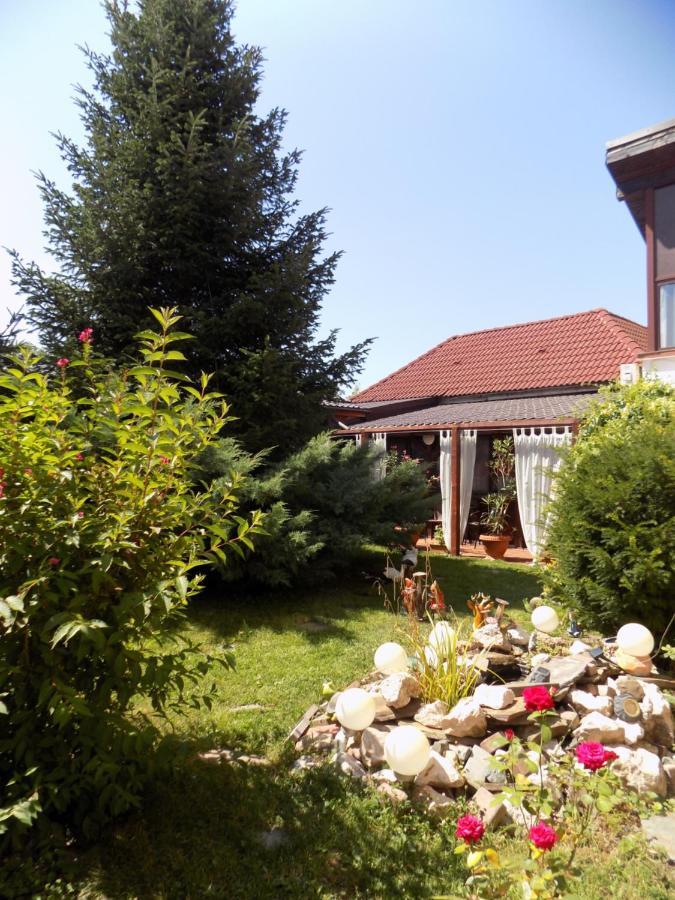 Pensiunea Red Rose Apartments Тимишоара Экстерьер фото