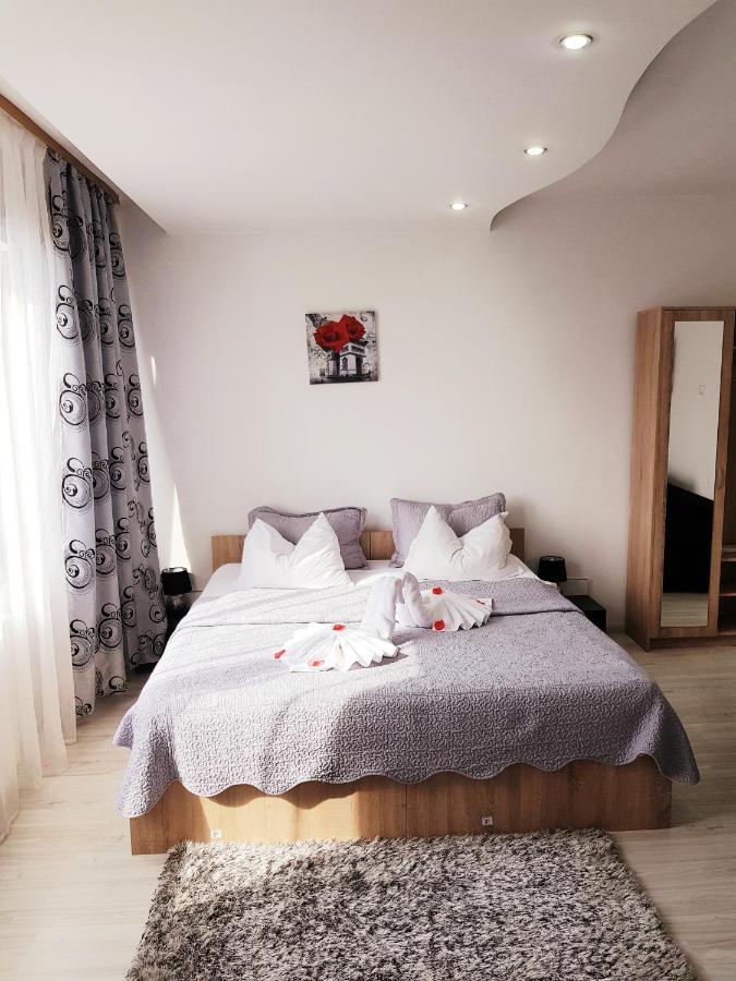 Pensiunea Red Rose Apartments Тимишоара Экстерьер фото