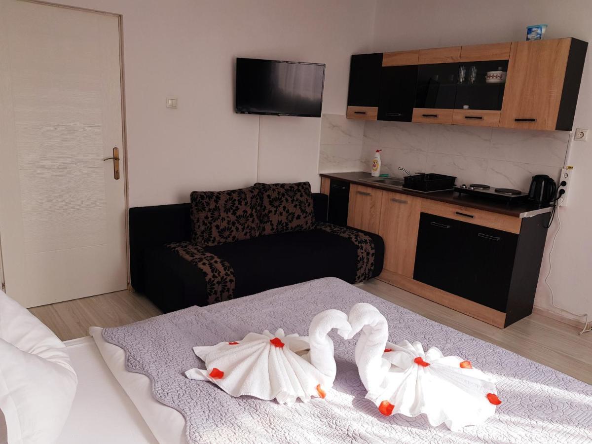 Pensiunea Red Rose Apartments Тимишоара Экстерьер фото