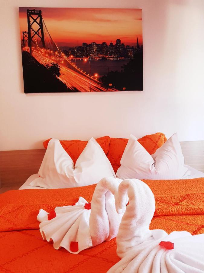Pensiunea Red Rose Apartments Тимишоара Экстерьер фото