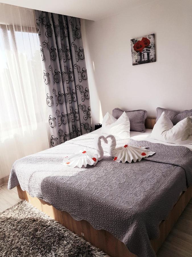 Pensiunea Red Rose Apartments Тимишоара Экстерьер фото