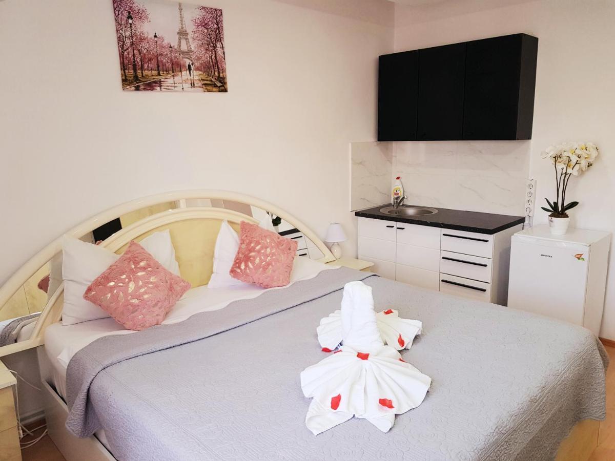 Pensiunea Red Rose Apartments Тимишоара Экстерьер фото