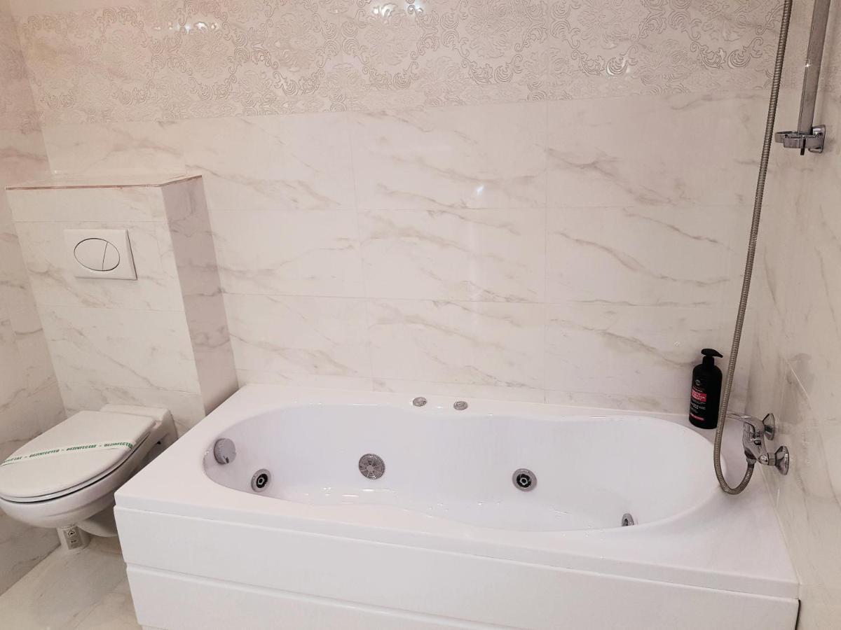 Pensiunea Red Rose Apartments Тимишоара Экстерьер фото