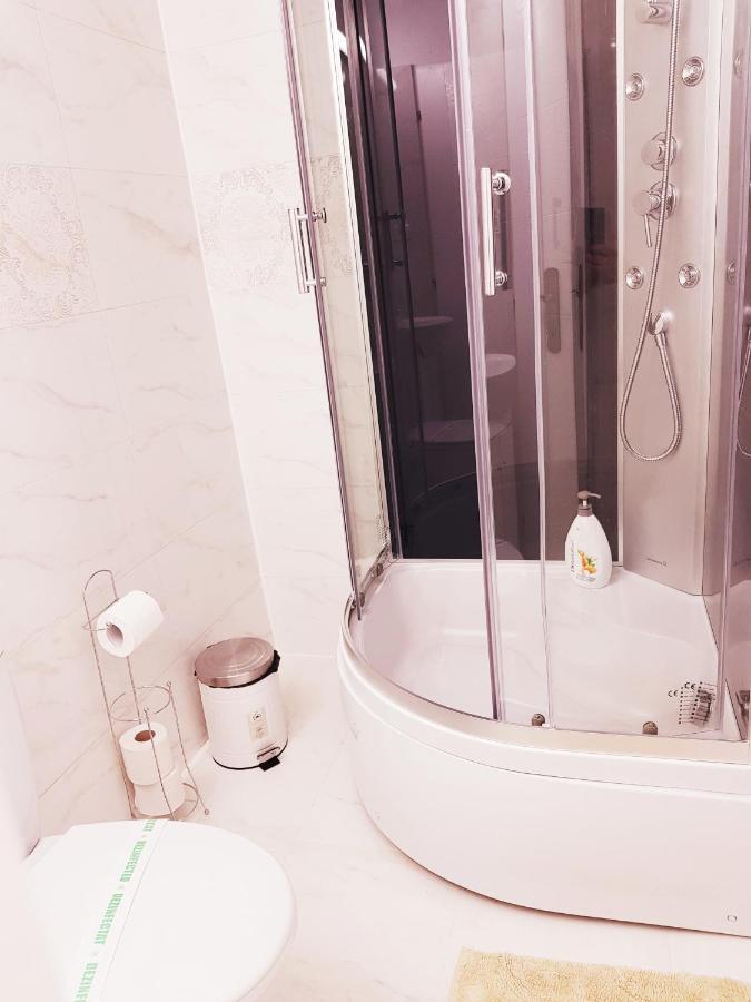 Pensiunea Red Rose Apartments Тимишоара Экстерьер фото
