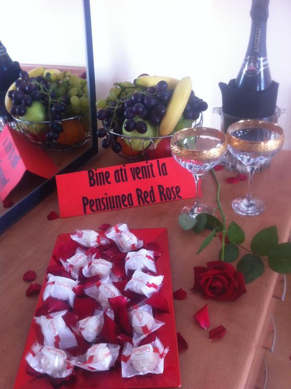 Pensiunea Red Rose Apartments Тимишоара Номер фото