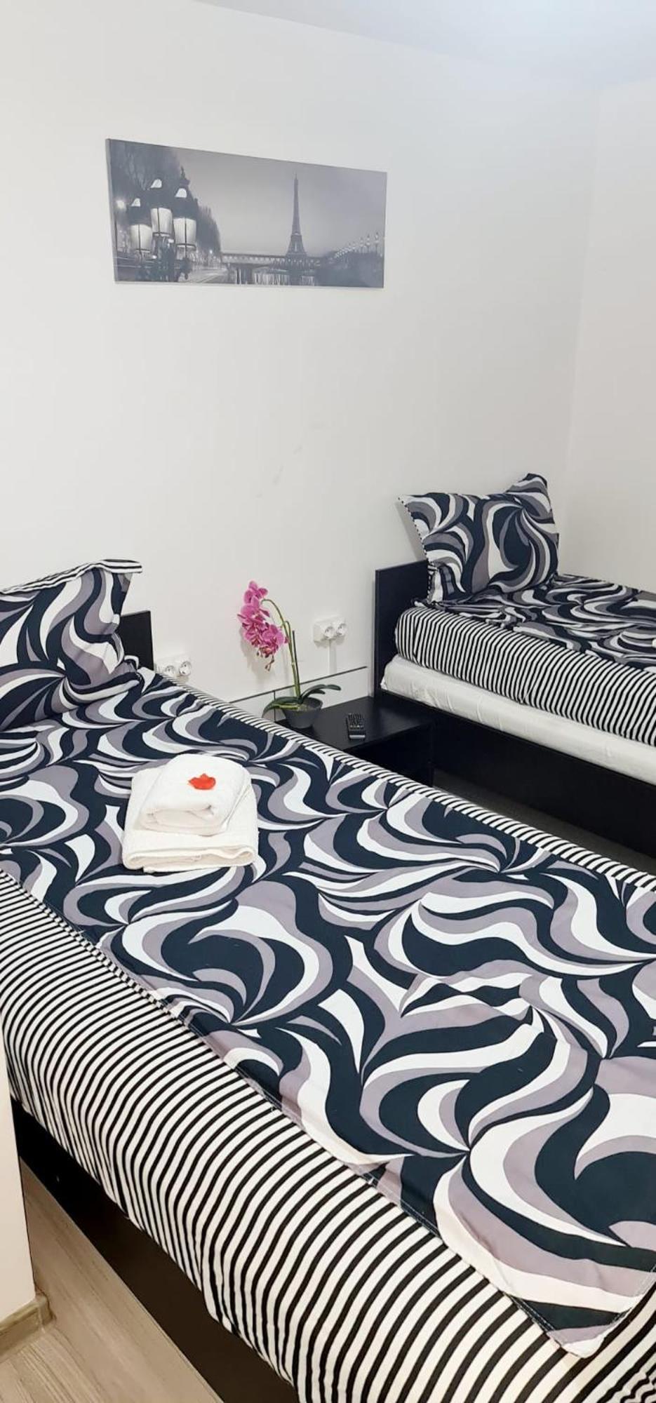 Pensiunea Red Rose Apartments Тимишоара Экстерьер фото