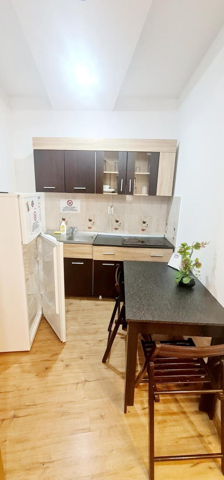 Pensiunea Red Rose Apartments Тимишоара Экстерьер фото