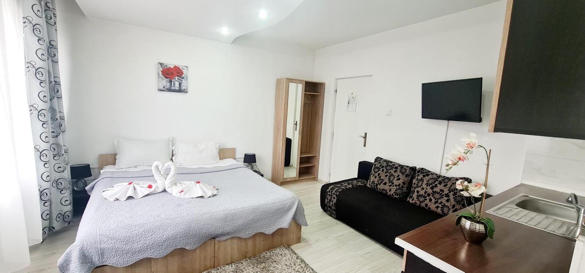 Pensiunea Red Rose Apartments Тимишоара Экстерьер фото