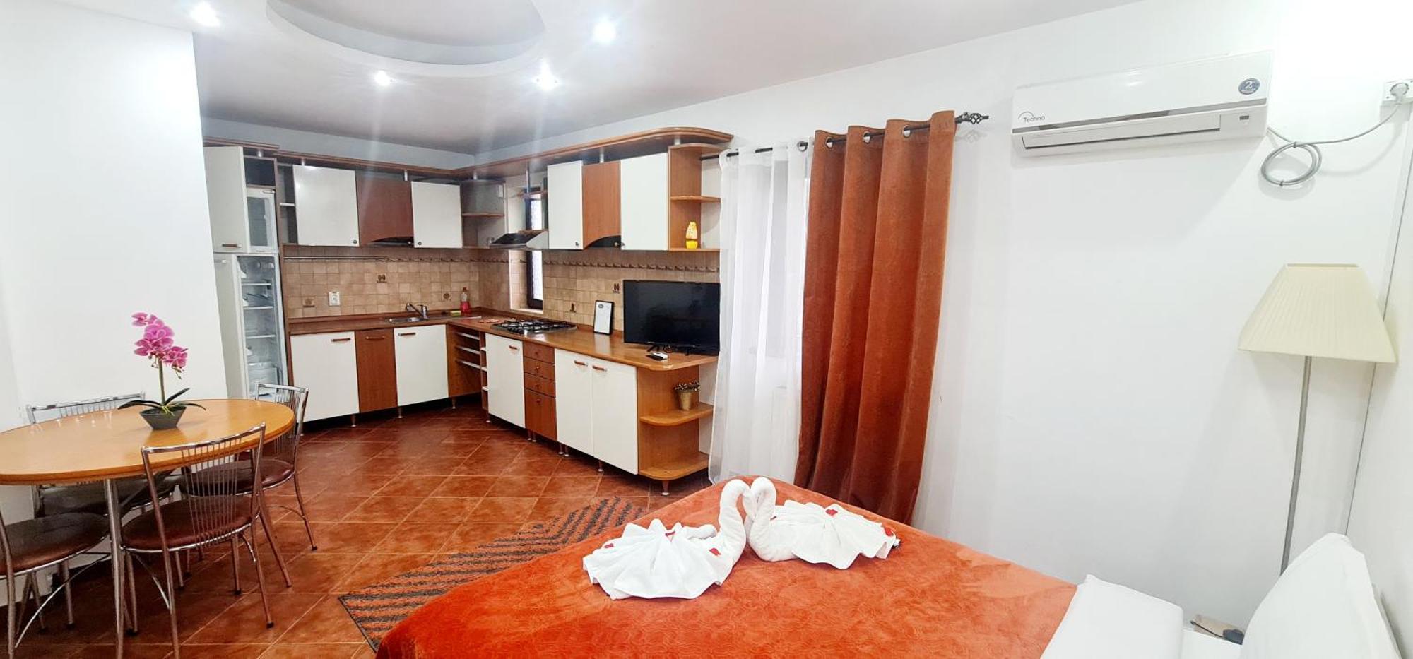Pensiunea Red Rose Apartments Тимишоара Экстерьер фото