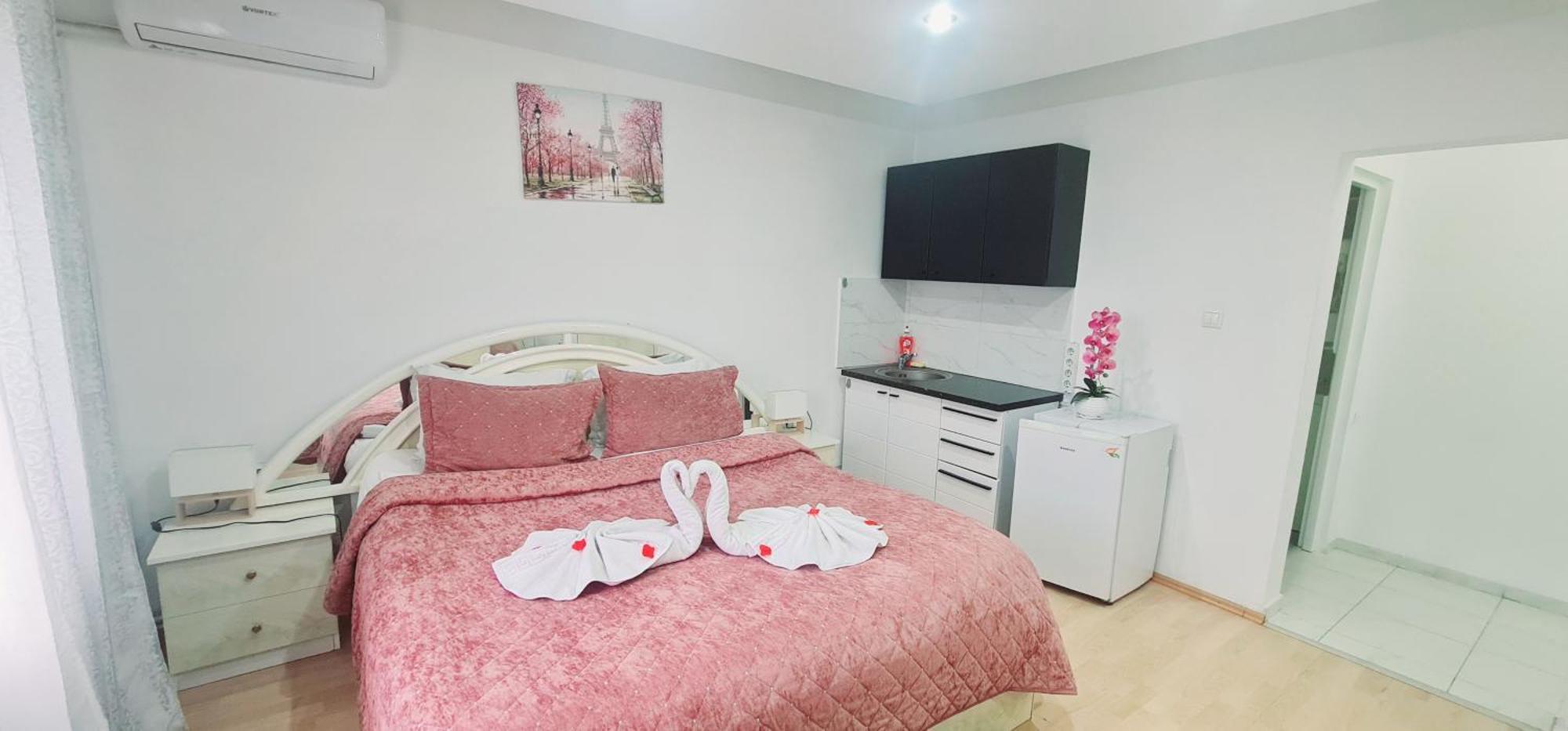 Pensiunea Red Rose Apartments Тимишоара Экстерьер фото