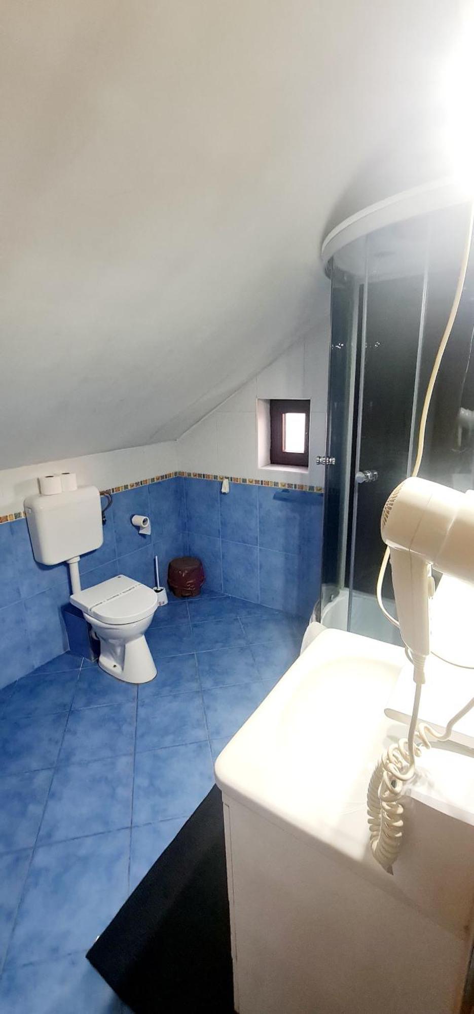 Pensiunea Red Rose Apartments Тимишоара Экстерьер фото
