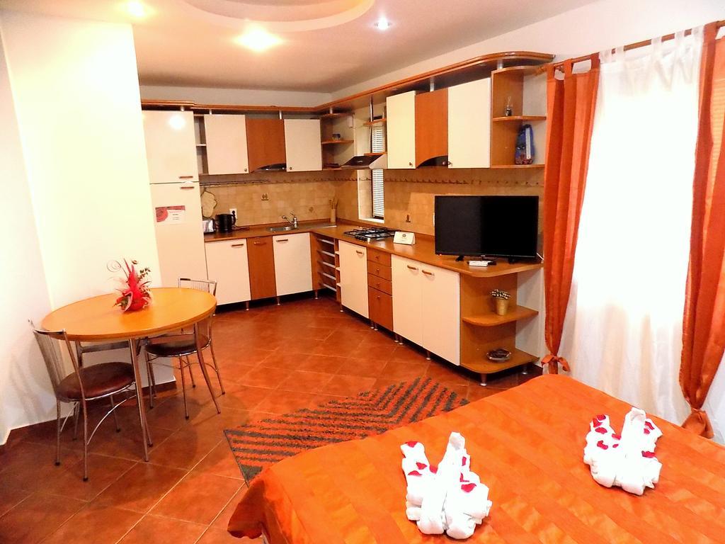 Pensiunea Red Rose Apartments Тимишоара Экстерьер фото